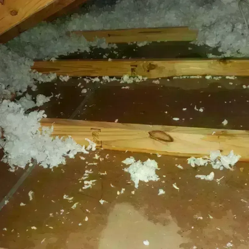 Attic Water Damage in Flora, MS