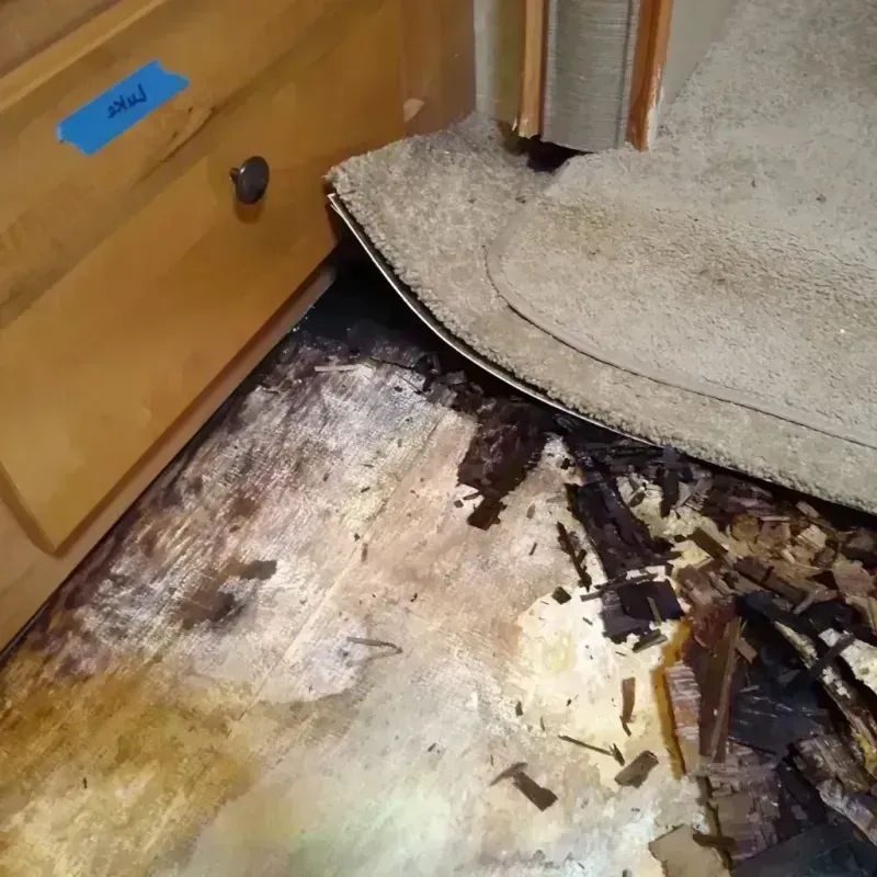 Wood Floor Water Damage in Flora, MS